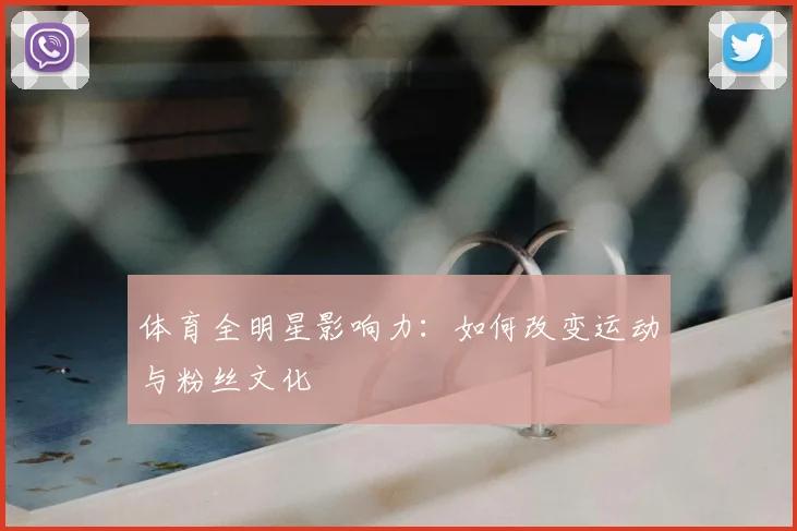 体育全明星影响力：如何改变运动与粉丝文化